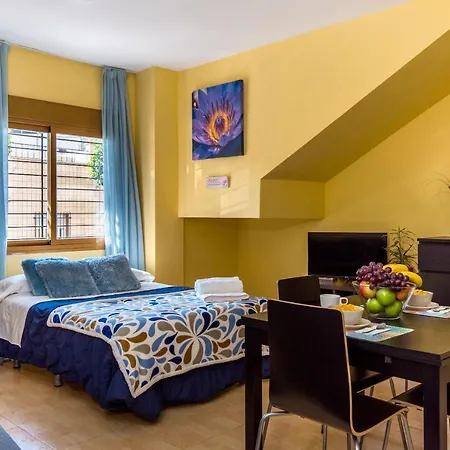 Estudio Malagasol Apartment